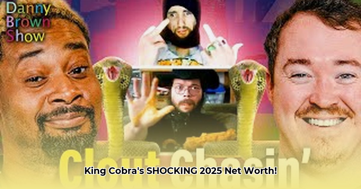 king-cobra-jfs-net-worth